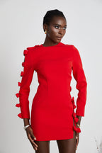 Sasha fiyonk dekolteli mini elbise