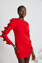 Sasha fiyonk dekolteli mini elbise