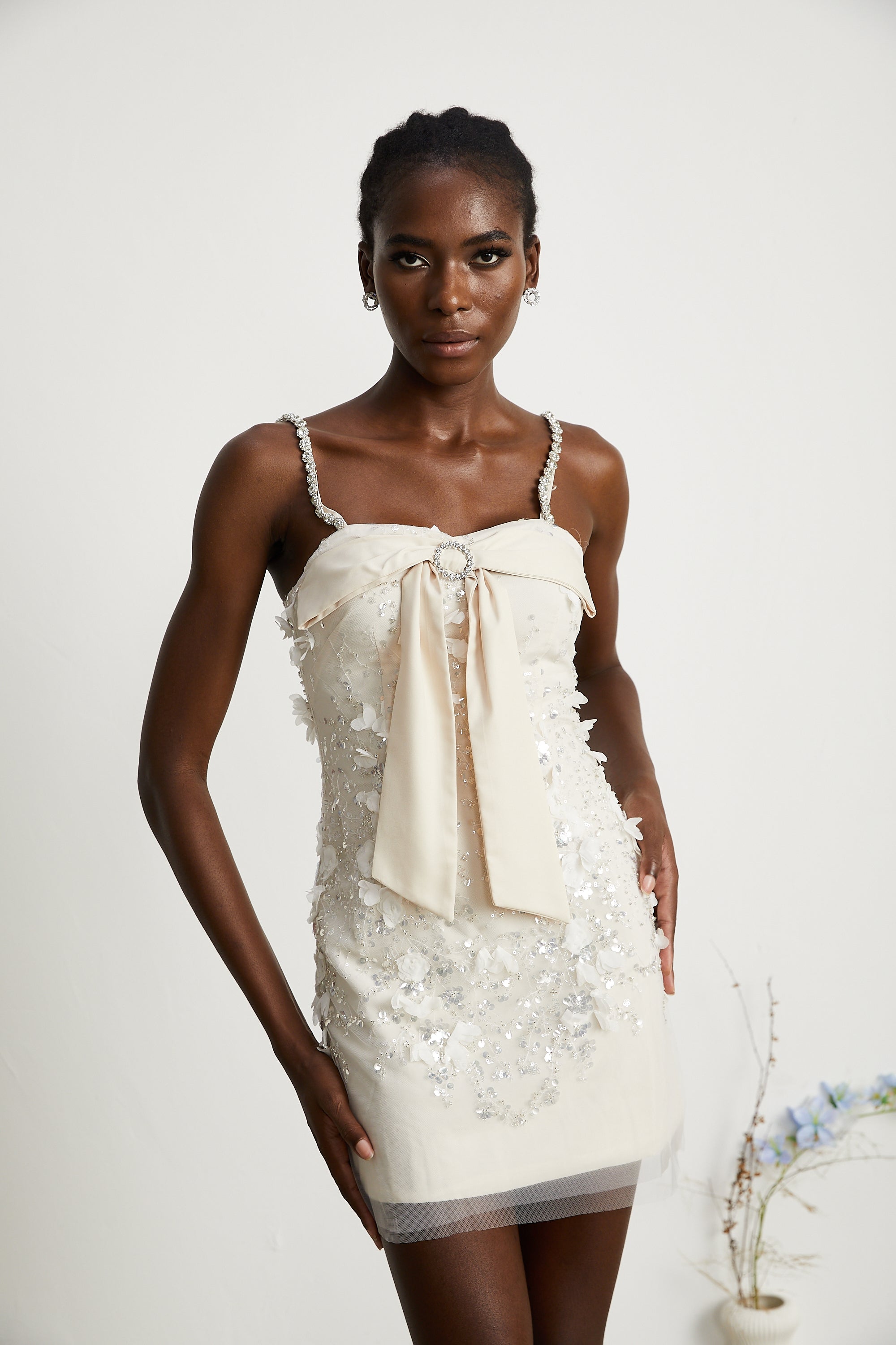 Payet Süslü Mini Elbise