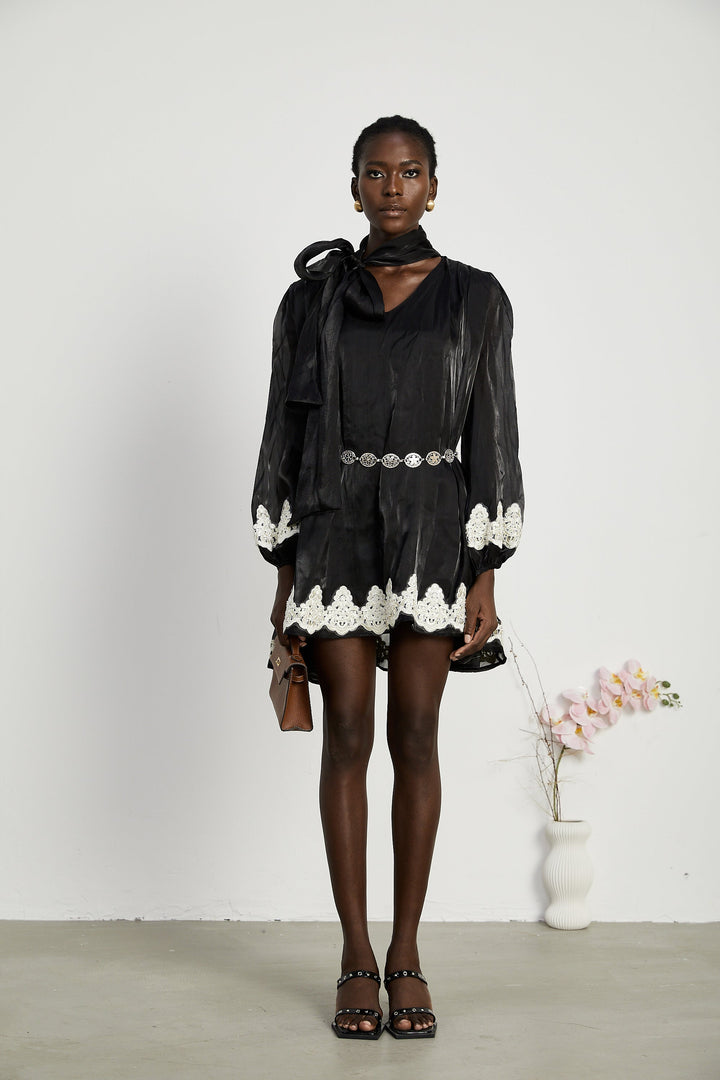 Delphine inci mini elbise