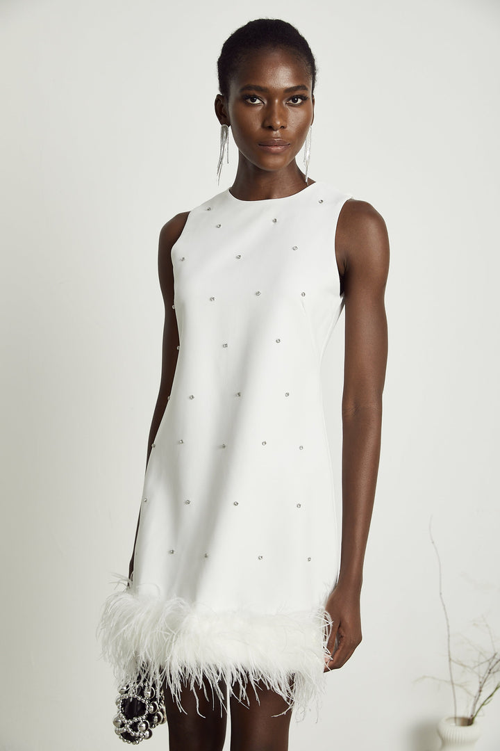 Faena mini elbise