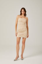 Charlotte dantel mini elbise