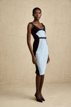 Fanny panel midi elbise