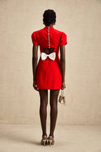 Anna mini elbise