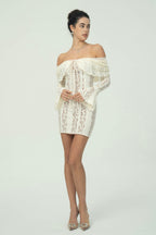 Dantel işlemeli Mini Elbise