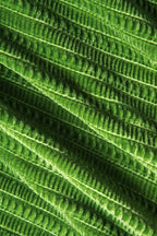 Kadife Dokulu Bikini ve Mayo Eteği Pareo 3 Parça Takım