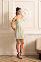 Dantel Çiçek Desenli Mini Elbise