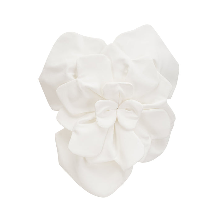 Penelope çiçekli Üst