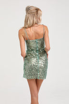 Ailish mini elbise