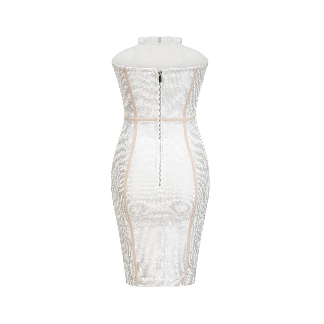 Danica mini elbise