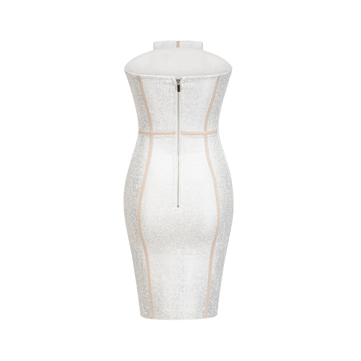 Danica mini elbise