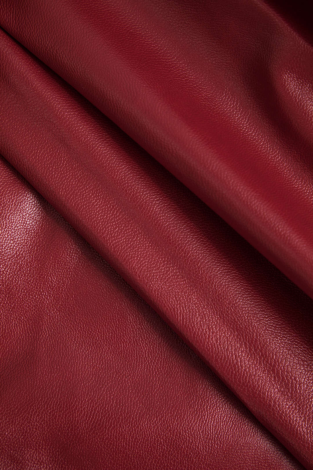Zipper Ceket